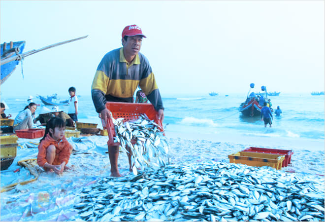 mơ thấy bãi cá có ý nghĩa gì
