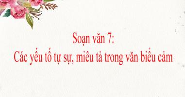 Bài soạn 