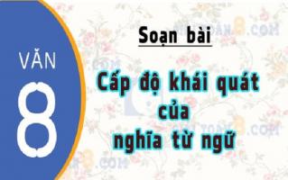 Bài soạn 