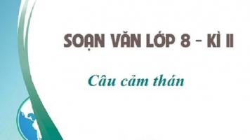 Bài soạn 