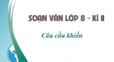Bài soạn 