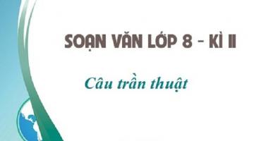 Bài soạn 