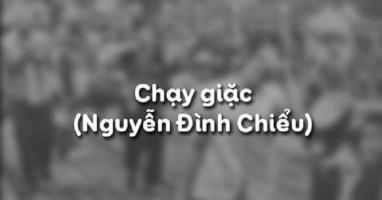 Bài soạn Chạy giặc (Nguyễn Đình Chiểu) (Ngữ Văn 11) hay nhất
