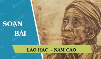 Bài soạn 