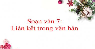 Bài soạn 