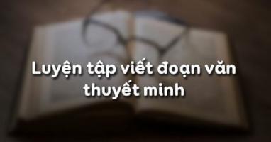 Bài soạn Luyện tập viết đoạn văn thuyết minh (Ngữ Văn 10) hay nhất