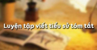 Bài soạn Luyện tập viết tiểu sử tóm tắt (Ngữ Văn 11) hay nhất