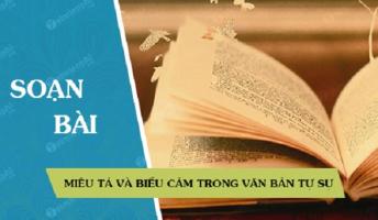 Bài soạn 