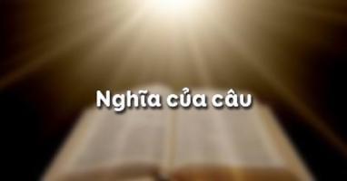 Bài soạn Nghĩa của câu (Ngữ Văn 11) hay nhất