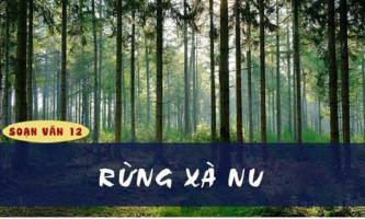 Bài soạn 