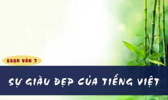 Bài soạn 