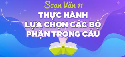 Bài soạn Thực hành về lựa chọn trật tự các bộ phận trong câu (Ngữ Văn 11) hay nhất