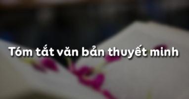 Bài soạn Tóm tắt văn bản thuyết minh (Ngữ Văn 10) hay nhất