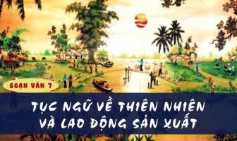 Bài soạn 