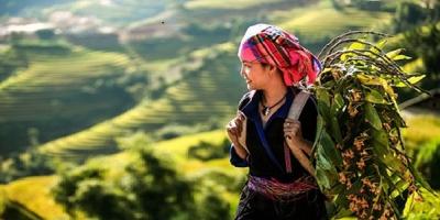 Bài văn phân tích khung cảnh ra trận trong bài thơ Việt Bắc của Tố Hữu hay nhất