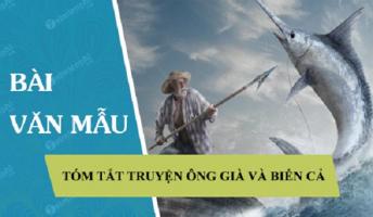 Bài tóm tắt truyện 