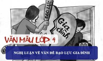 Bài văn nghị luận xã hội về bạo lực gia đinh (lớp 9) hay nhất