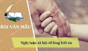 Bài văn nghị luận xã hội về lòng biết ơn lớp 9 hay nhất
