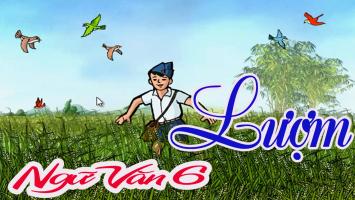 Bài văn phân tích bài thơ 