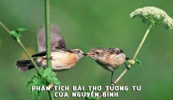 Bài văn phân tích bài thơ 