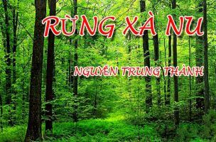 Bài văn phân tích hình tượng rừng xà nu trong 
