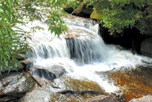 Bài văn phân tích tác phẩm 