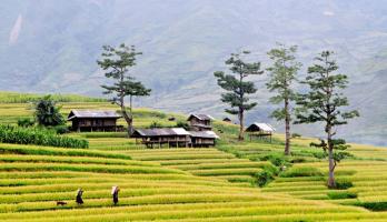 Bài văn phân tích tính dân tộc trong bài thơ Việt Bắc hay nhất