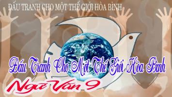 Bài văn phân tích văn bản 