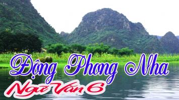 Bài văn phát biểu cảm nghĩ bài 