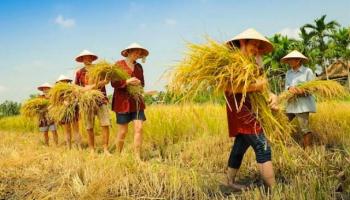 Bài văn tả bác nông dân hay nhất