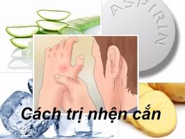 Biện pháp khắc phục khi bị nhện cắn tại nhà mà bạn nên biết