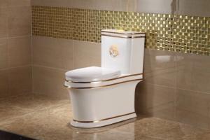 Cách thông bồn cầu bị nghẹt tại nhà nhanh chóng, đơn giản nhất
