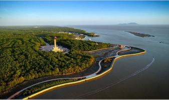 Câu ca dao, tục ngữ về Cà Mau hay nhất