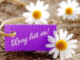Câu chuyện hay về lòng biết ơn