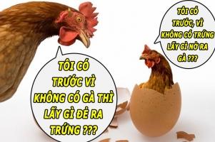 Câu đố hóc búa hài hước nhất tuần qua
