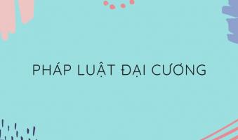 Câu hỏi thường gặp nhất của môn Pháp luật đại cương