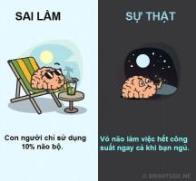 Quan niệm sai lầm phổ biến về cơ thể người