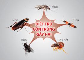 Công ty kiểm soát côn trùng uy tín nhất Việt Nam