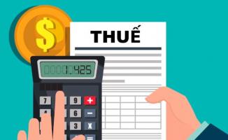 Công ty dịch vụ báo cáo thuế uy tín nhất TP. HCM
