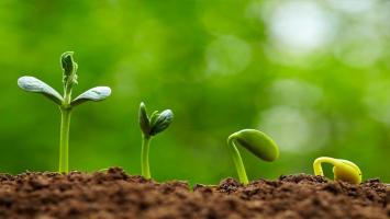 Công ty cung cấp hạt giống uy tín và chất lượng nhất tại Việt Nam