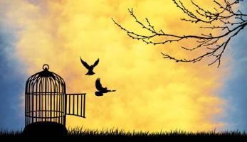 Cuốn sách giúp bạn sống tự do hơn trong xã hội đầy biến động