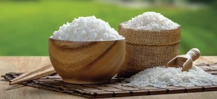 Đại lý bán gạo chất lượng, giá rẻ nhất tỉnh Thanh Hóa