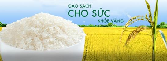 Đại lý bán gạo giá rẻ và uy tín nhất ở TPHCM