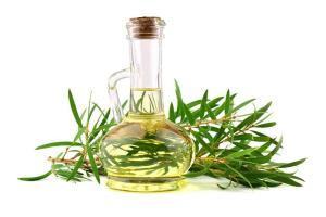 Địa chỉ bán dầu tràm uy tín, chất lượng nhất ở Tp. HCM