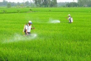 Địa chỉ bán thuốc bảo vệ thực vật uy tín nhất Cần Thơ