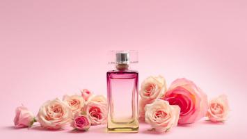 Địa chỉ mua nước hoa chính hãng uy tín tại Cần Thơ