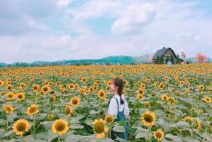 Địa điểm chụp selfie đẹp nhất cho giới trẻ tại Bắc Giang