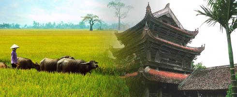 Địa điểm du lịch hấp dẫn tỉnh Thái Bình