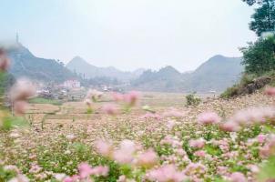 Điểm du lịch mùa lý tưởng mùa thu đông