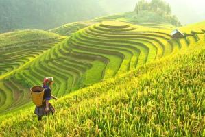 Đoạn văn thể hiện niềm giao cảm với thiên nhiên và con người hay nhất